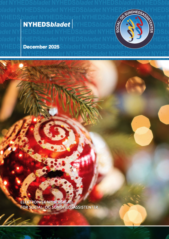 Skærmbillede 2025-12-12 kl. 16.54.24